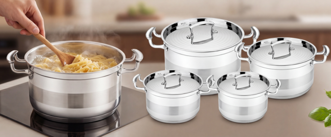 cookware set 10 piece stainless steel silver handle e 810